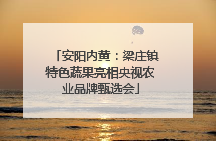 安阳内黄：梁庄镇特色蔬果亮相央视农业品牌甄选会