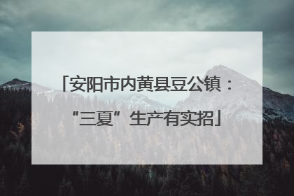 安阳市内黄县豆公镇：“三夏”生产有实招