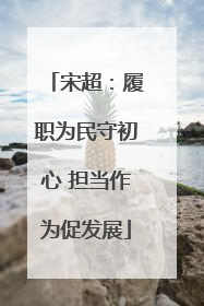 宋超：履职为民守初心 担当作为促发展