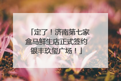 定了！济南第七家盒马鲜生店正式签约银丰玖玺广场！