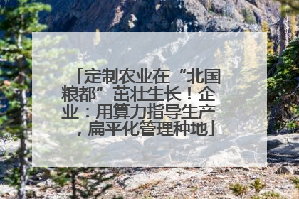 定制农业在“北国粮都”茁壮生长！企业：用算力指导生产，扁平化管理种地