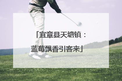 宜章县天塘镇：蓝莓飘香引客来