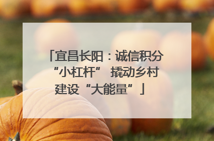 宜昌长阳：诚信积分“小杠杆” 撬动乡村建设“大能量”