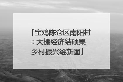宝鸡陈仓区南阳村：大棚经济结硕果 乡村振兴绘新图