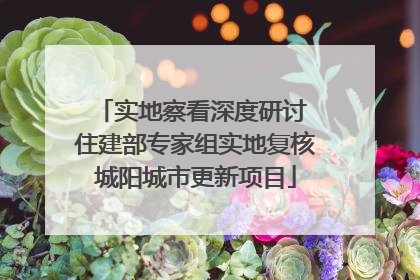 实地察看深度研讨 住建部专家组实地复核城阳城市更新项目