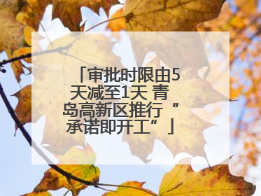 审批时限由5天减至1天 青岛高新区推行“承诺即开工”