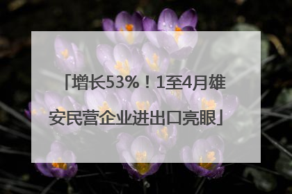 增长53%！1至4月雄安民营企业进出口亮眼
