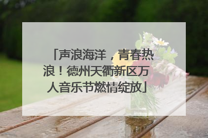 声浪海洋，青春热浪！德州天衢新区万人音乐节燃情绽放