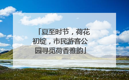 夏至时节，荷花初绽，市民游客公园寻觅荷香雅韵
