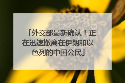 外交部最新确认！正在迅速撤离在伊朗和以色列的中国公民