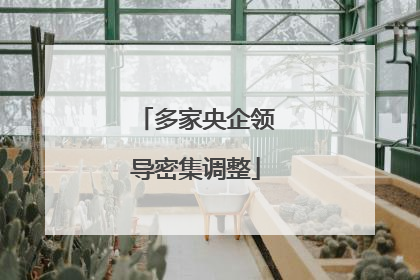 多家央企领导密集调整