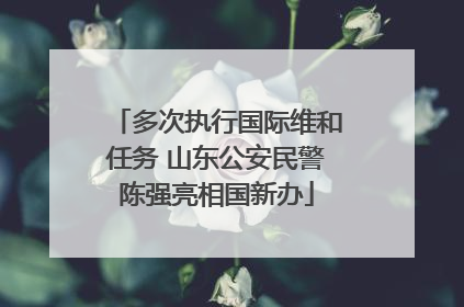 多次执行国际维和任务 山东公安民警陈强亮相国新办