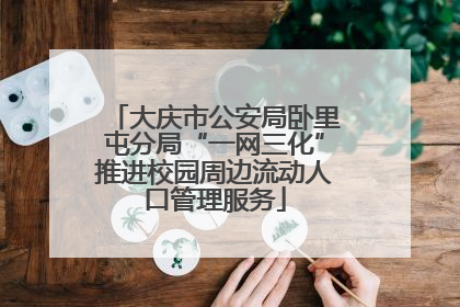 大庆市公安局卧里屯分局“一网三化”推进校园周边流动人口管理服务