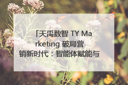 天禹数智 TY Marketing 破局营销新时代：智能体赋能与人才培育双轮驱动