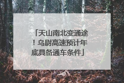 天山南北变通途！乌尉高速预计年底具备通车条件