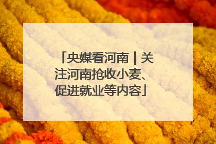 央媒看河南｜关注河南抢收小麦、促进就业等内容