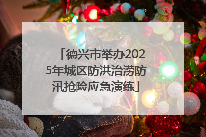德兴市举办2025年城区防洪治涝防汛抢险应急演练