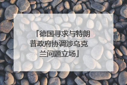 德国寻求与特朗普政府协调涉乌克兰问题立场