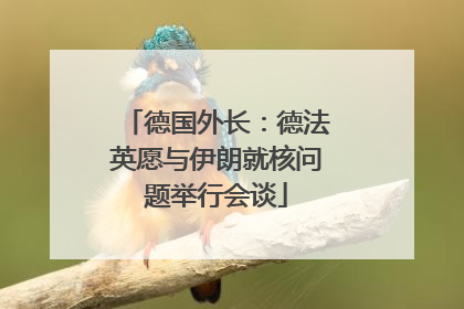 德国外长：德法英愿与伊朗就核问题举行会谈