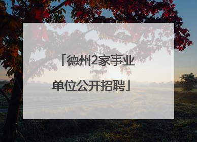 德州2家事业单位公开招聘