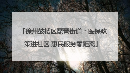 徐州鼓楼区琵琶街道：医保政策进社区 惠民服务零距离
