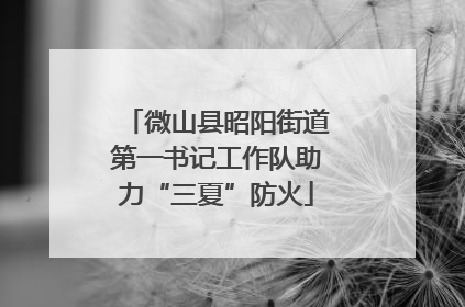 微山县昭阳街道第一书记工作队助力“三夏”防火