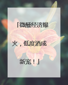 微醺经济爆火，低度酒成新宠！