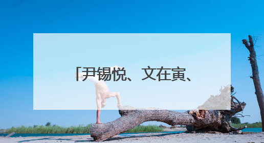 尹锡悦、文在寅、朴槿惠、李明博，他们纷纷出面支持各自阵营候选人
