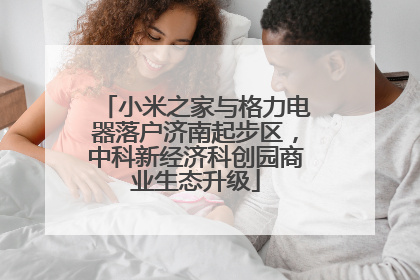 小米之家与格力电器落户济南起步区，中科新经济科创园商业生态升级