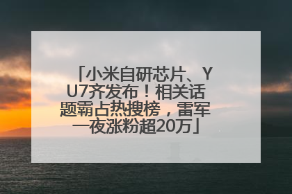 小米自研芯片、YU7齐发布！相关话题霸占热搜榜，雷军一夜涨粉超20万