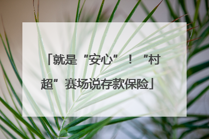 就是“安心”！“村超”赛场说存款保险