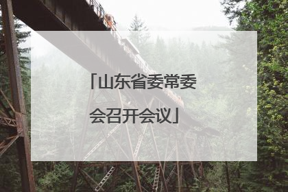 山东省委常委会召开会议