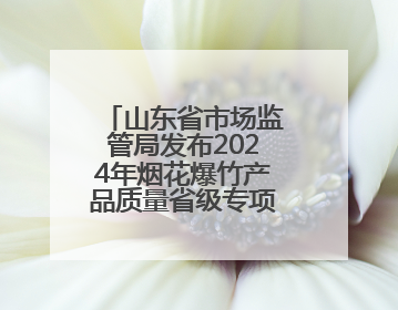 山东省市场监管局发布2024年烟花爆竹产品质量省级专项监督抽查结果