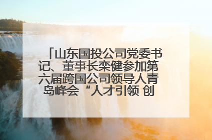 山东国投公司党委书记、董事长栾健参加第六届跨国公司领导人青岛峰会“人才引领 创新驱动”人力资源高质量发展对话会