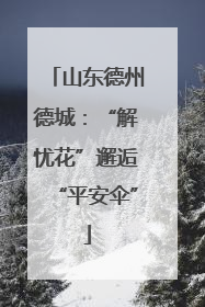 山东德州德城：“解忧花”邂逅“平安伞”