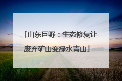 山东巨野：生态修复让废弃矿山变绿水青山