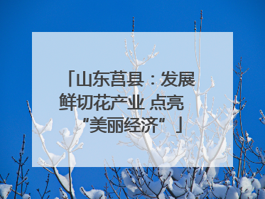 山东莒县：发展鲜切花产业 点亮“美丽经济”