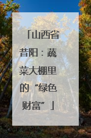 山西省昔阳：蔬菜大棚里的“绿色财富”