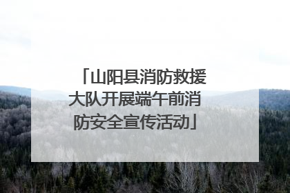 山阳县消防救援大队开展端午前消防安全宣传活动