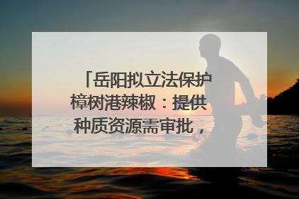 岳阳拟立法保护樟树港辣椒：提供种质资源需审批，违规最高罚5万