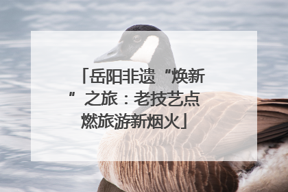 岳阳非遗“焕新”之旅：老技艺点燃旅游新烟火