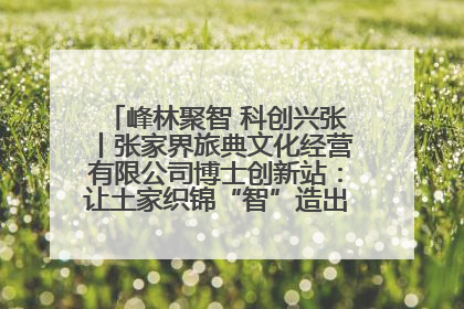 峰林聚智 科创兴张丨张家界旅典文化经营有限公司博士创新站：让土家织锦“智”造出非遗新传奇