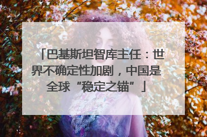 巴基斯坦智库主任：世界不确定性加剧，中国是全球“稳定之锚”