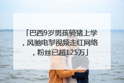 巴西9岁男孩骑猪上学，风驰电掣视频走红网络，粉丝已超125万