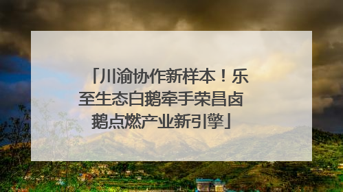 川渝协作新样本！乐至生态白鹅牵手荣昌卤鹅点燃产业新引擎