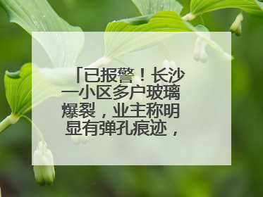 已报警！长沙一小区多户玻璃爆裂，业主称明显有弹孔痕迹，“疑似有人用气枪打鸟造成”