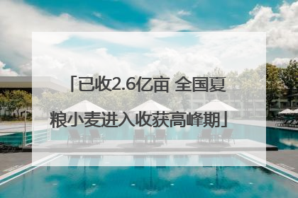 已收2.6亿亩 全国夏粮小麦进入收获高峰期