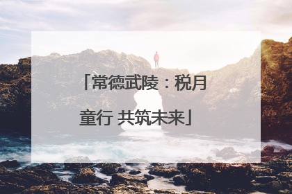 常德武陵：税月童行 共筑未来