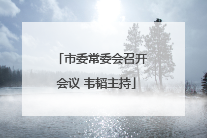 市委常委会召开会议 韦韬主持