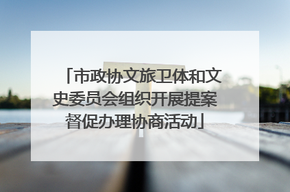 市政协文旅卫体和文史委员会组织开展提案督促办理协商活动